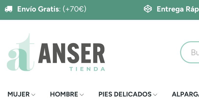 Tienda online de Ansertienda